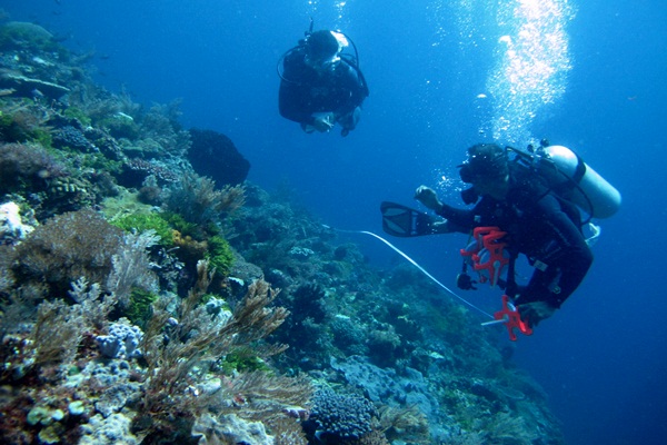 03_WWF-Indonesia_Fakhrizal S_Survey di Pulau Ternate, KKPD Alor.